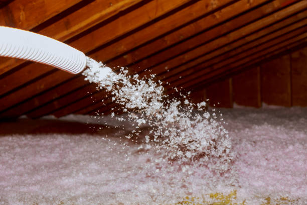 Best DIY Insulation Kits and Guidance in Passapatanzy, VA