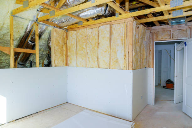 Best Specialized Insulation Services in Passapatanzy, VA