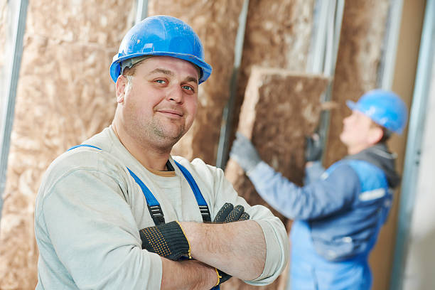 Best Residential Insulation in Passapatanzy, VA