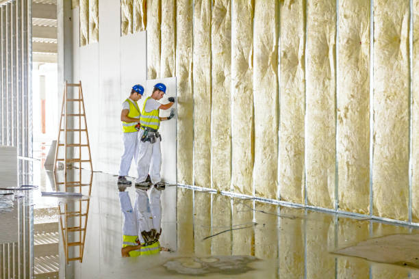 Best Eco-Friendly Insulation in Passapatanzy, VA